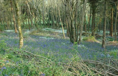 Downclose Piggeries - Photo 25