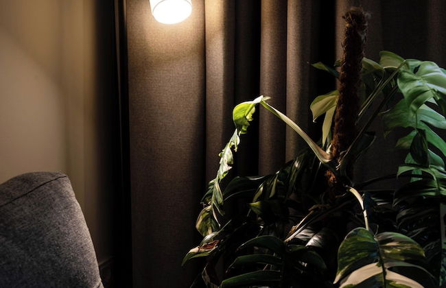 Urban Jungle Apartments - Foto 72