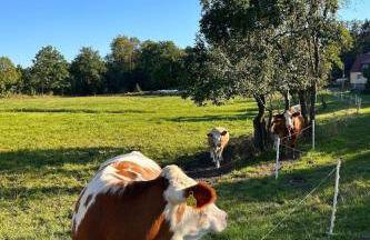 Apartment am Schwielochsee by Interhome - Photo 17