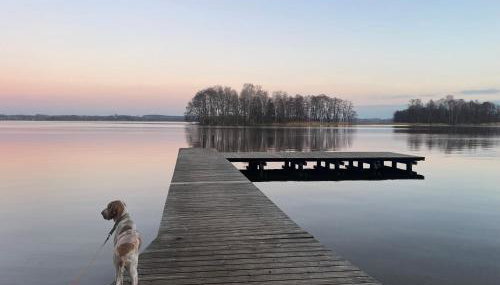 Żurawi klangor dom z sauną i jacuzzi - Foto 4