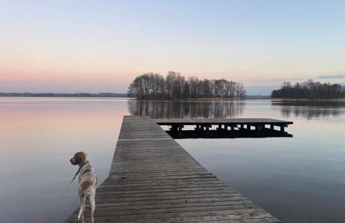 Żurawi klangor dom z sauną i jacuzzi - Foto 4