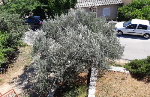 Apartman VeDE Baćina - Foto 3