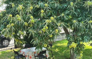 Villa Anna - Foto 16