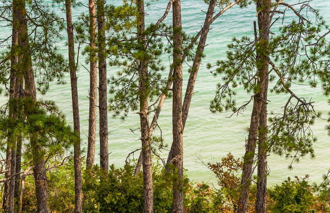 Open sea residence - Foto 44