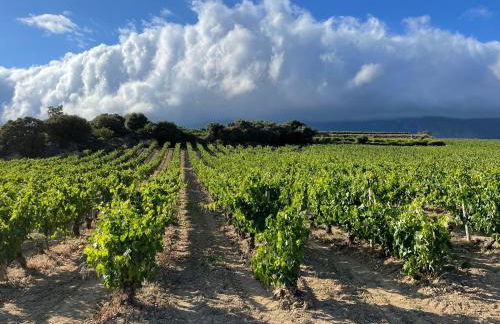 Four Bedroom Chalet with Private Pool in the Heart of Rioja Alavesa - Photo 24