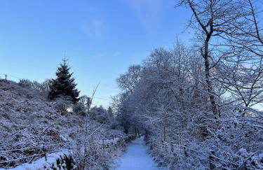 1 The Cairn Kilmartin - Beautiful Victorian Flat, Pet Friendly - Foto 21