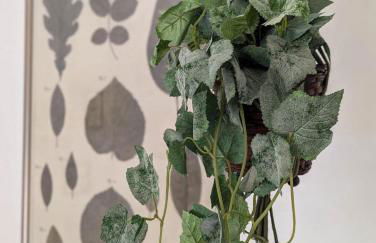 Sambucisco Airport Stay - Foto 27