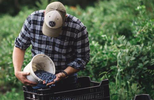 Gemütliches Gästezimmer - Foto 27