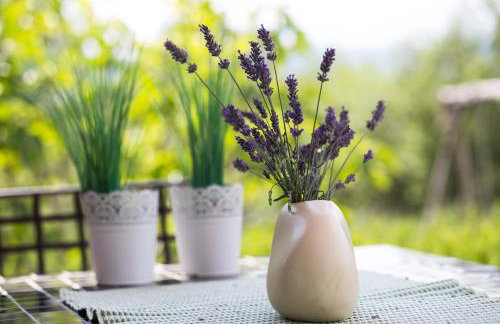 Officinalis - Family Vacation House - Photo 31