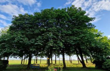 Ferienwohnung Sort Sol Grellsbülldeich 7 - Foto 48