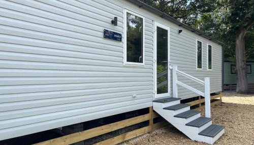 Forest Sherman - Uk50089 - Foto 5