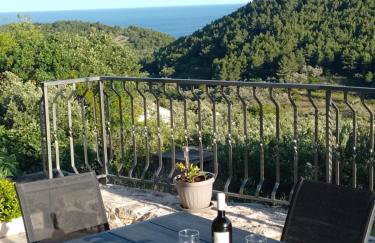 Holiday apartments Maslina Paho - Foto 45