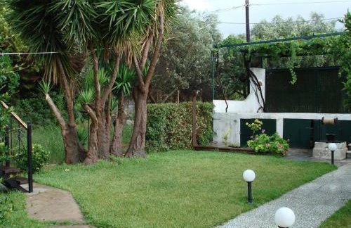 Σοφίτα Μαρτά - Foto 9