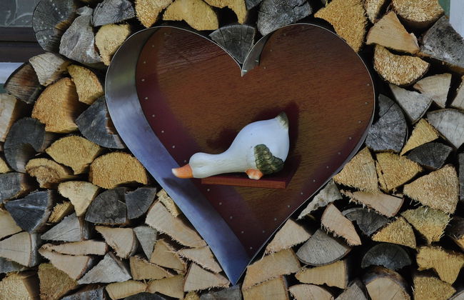 Appartementhaus Alpenrose - Photo 21