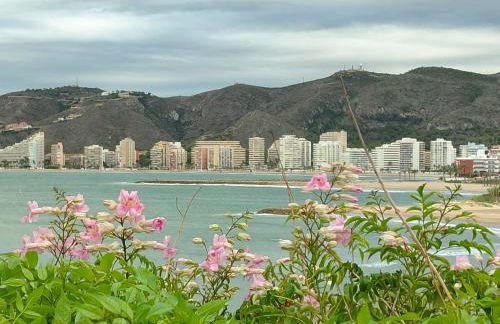 Seaviews Los Olivos - Photo 22