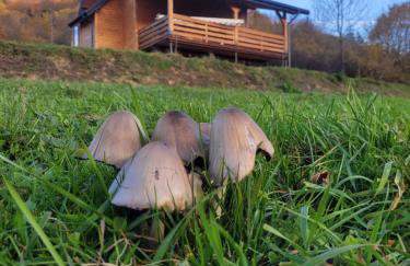 Chata Szwastówka - Twoja przystań u podnóża Góry Cergowa - Foto 23