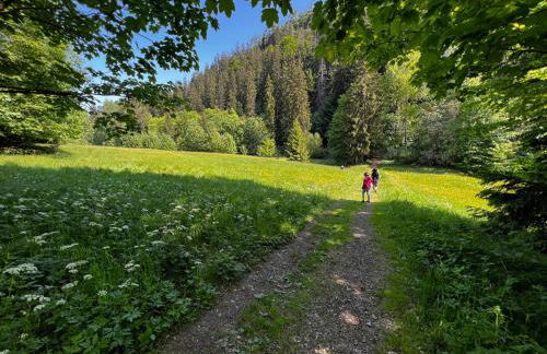 Ferienwohnung Pobershau - Foto 13