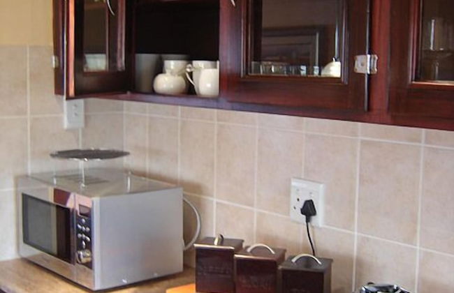 Beautiful Abalone - Photo 5