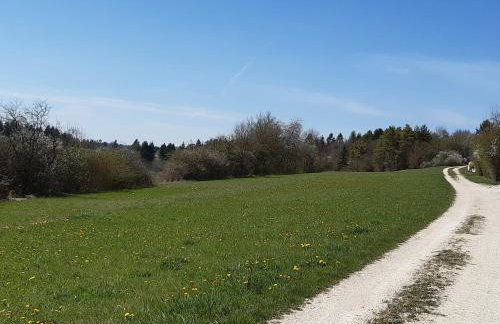 Städtle-Blick - Photo 12