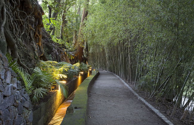 Quinta da Mó - Foto 20