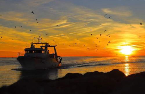Les Spas de la Mer, Appart&Spa Aloha, 100m de la plage, Plein cœur du Grau - Photo 76