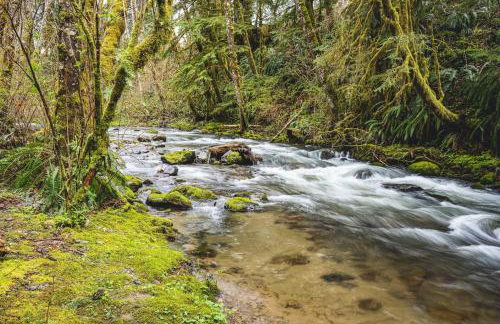 ElkCreek Inn Creekside tiny home - Foto 21