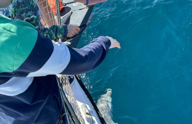 Balade en bateau dans la baie d'Estepona - Photo 5