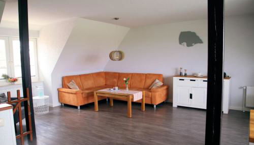 Gänseblümchen - Foto 4