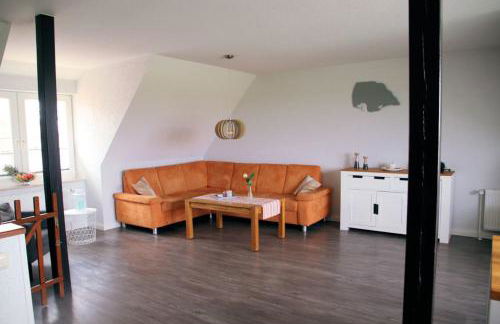 Gänseblümchen - Foto 4