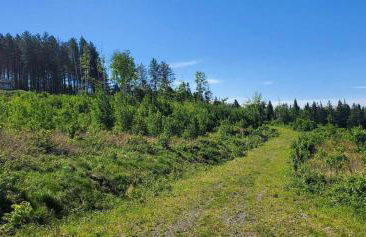 Off-Grid Cabin Nestled Among Nature with Lovely Landscape Views in Maine - Foto 14