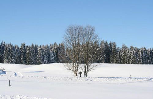 Haus Allgäu Ruh - Foto 9