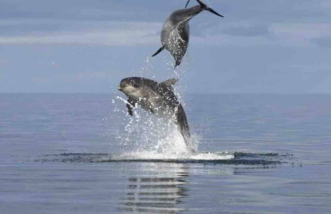 Immaculate Cabin 5 Mins to Inverness Dog Friendly - Photo 8