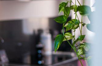 Punta Penna Seahouse - Foto 58