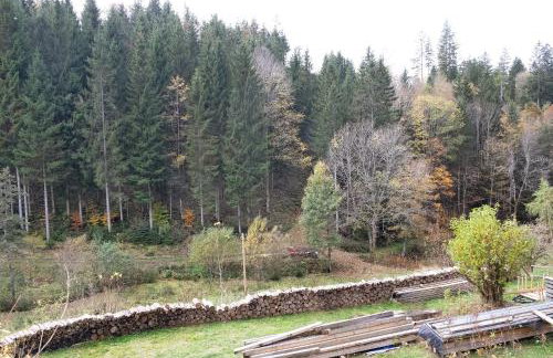 Atelier-Loft im Hübschental - Foto 28