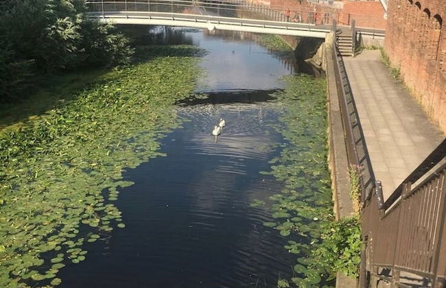 Chocolets - The Quality Suite - Foto 42