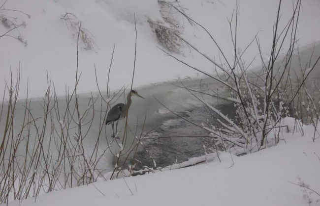 Wohnung in Wildemann Nahe Harzwald - Foto 32