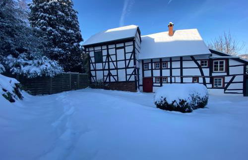 Alte Wassermühle - Foto 3