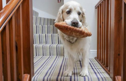 Holme Fell - Foto 22