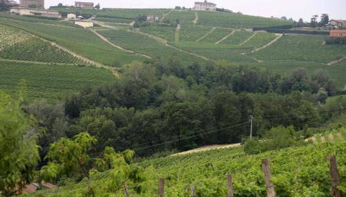 CA' DIJ SARACH - Foto 4