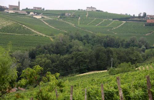 CA' DIJ SARACH - Foto 4