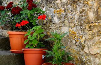 Mario (RADE) - Foto 7