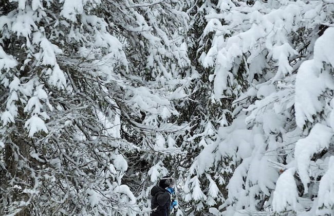 Nordic Lapland Resort - Foto 28