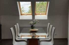 Apartamenty Holiday Slaw jacuzzi bilard - Foto 31