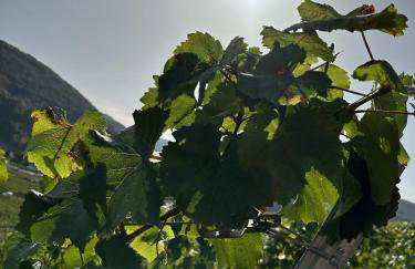 FeWo-KaRitz - Photo 22