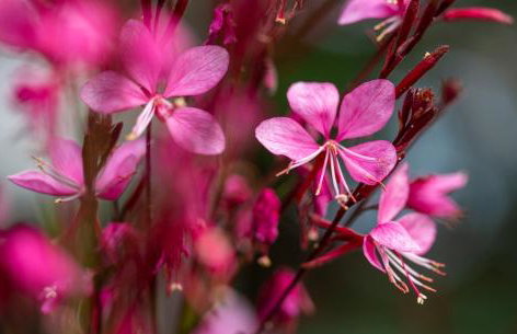 Kuća za odmor Divna MaTi - Foto 34