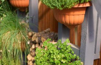 Familiennest am MüritzSee mit Kamin & Sauna - Foto 41