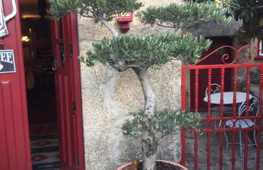 Casa de David - Foto 28