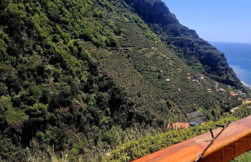 Levadinha - Nature guest house - Foto 22