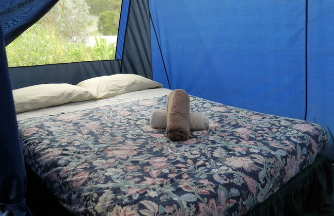 Russell - Orongo Bay Holiday Park - Foto 5