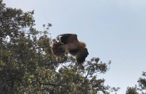 Casa Vó Briata - Foto 74